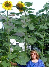Margaret Demick