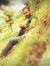 Noman J...