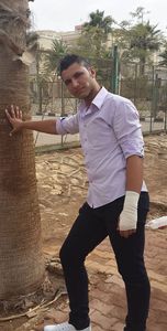 Amr Hamed