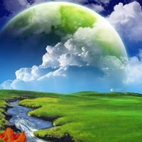 المستشار اسامة على