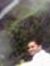 Anand S...
