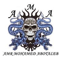 Amr Abotaleb