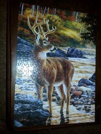 ريما المحمود