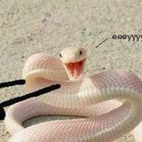 Sebastian Letander-trudeau