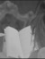 Rawan K...
