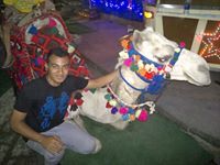 Mohamed Mansour