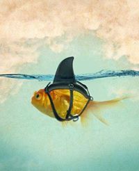 Patrick Lousuebsakul