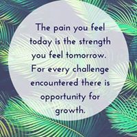 Duy Lê tiết thuý