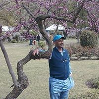 capt. jay prakash singh