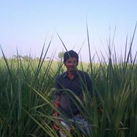 Shivu Ballary