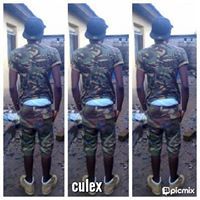 It'z Culex