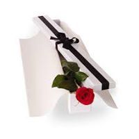 الاستاذ محمود