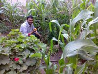 عامر المقداد