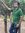 Nitish ...