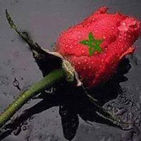 ابو الرميصاء