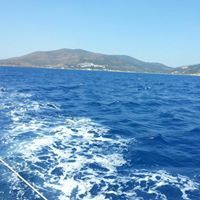 Ergul Atıcı güven