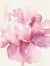 Humera_nawazyahoo.com