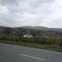 انووه انووه