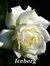 Sumithr...