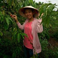 An Nhiên