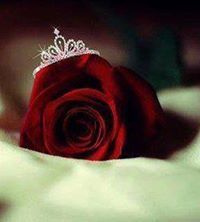 راجية الفردوس