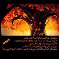 ʚĩɞdina Assalʚĩɞ