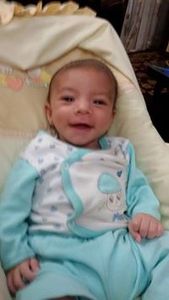 مصطفى السيد على