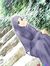Meryem ...