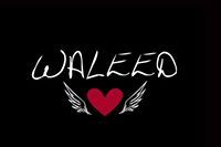 Waleed Ameed