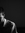Ryan Day