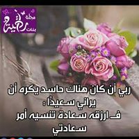 سلطان الحنظلي