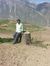 Bilal K...