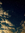 Cloudtet | 5 comments