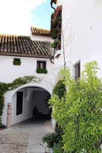 أحمد اللبان