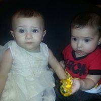 رورو شمسي باشا