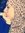 Amany Rashed