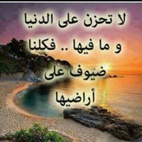 Mohammed Hosny