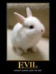 Evelyn