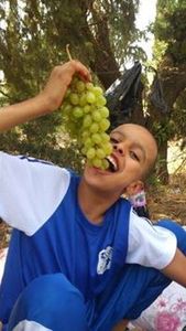 محمد عبدالقادر