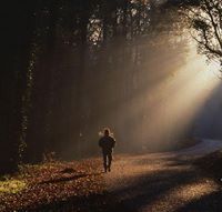 Chereches Dan grigore