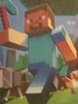 Mr. Minecraft