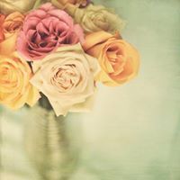 รักคณา วิมลมุข