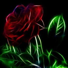 Rose Chin
