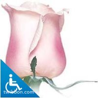 أمل الذوادي