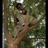 Muhammad Shah