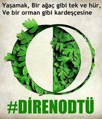 Abdullah Cetin