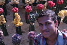 اسلام أبوالزين