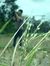 Ilyas F...