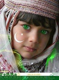 Shakeel Anjum