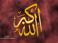 Ahmed Elmahallawy